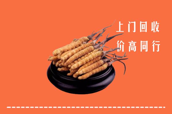 高价求购：昭通市威信回收散虫草