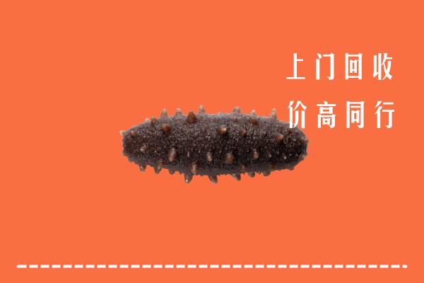 高价求购：昭通市威信回收海参
