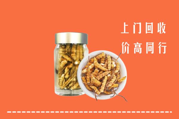 昭通市威信回收冬虫夏草